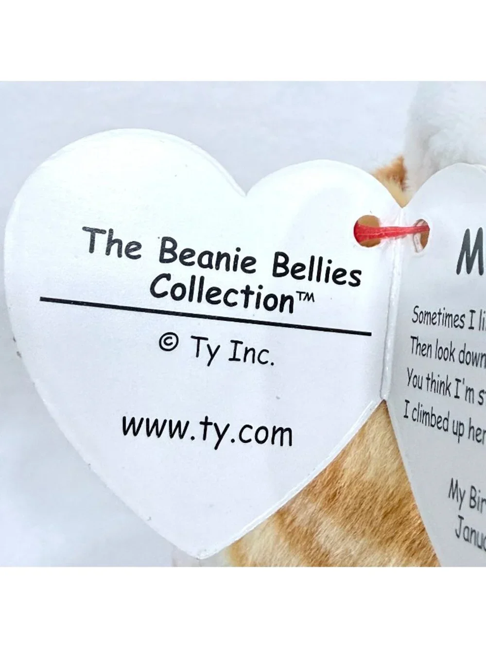 Ty Beanie Bellies Plush 